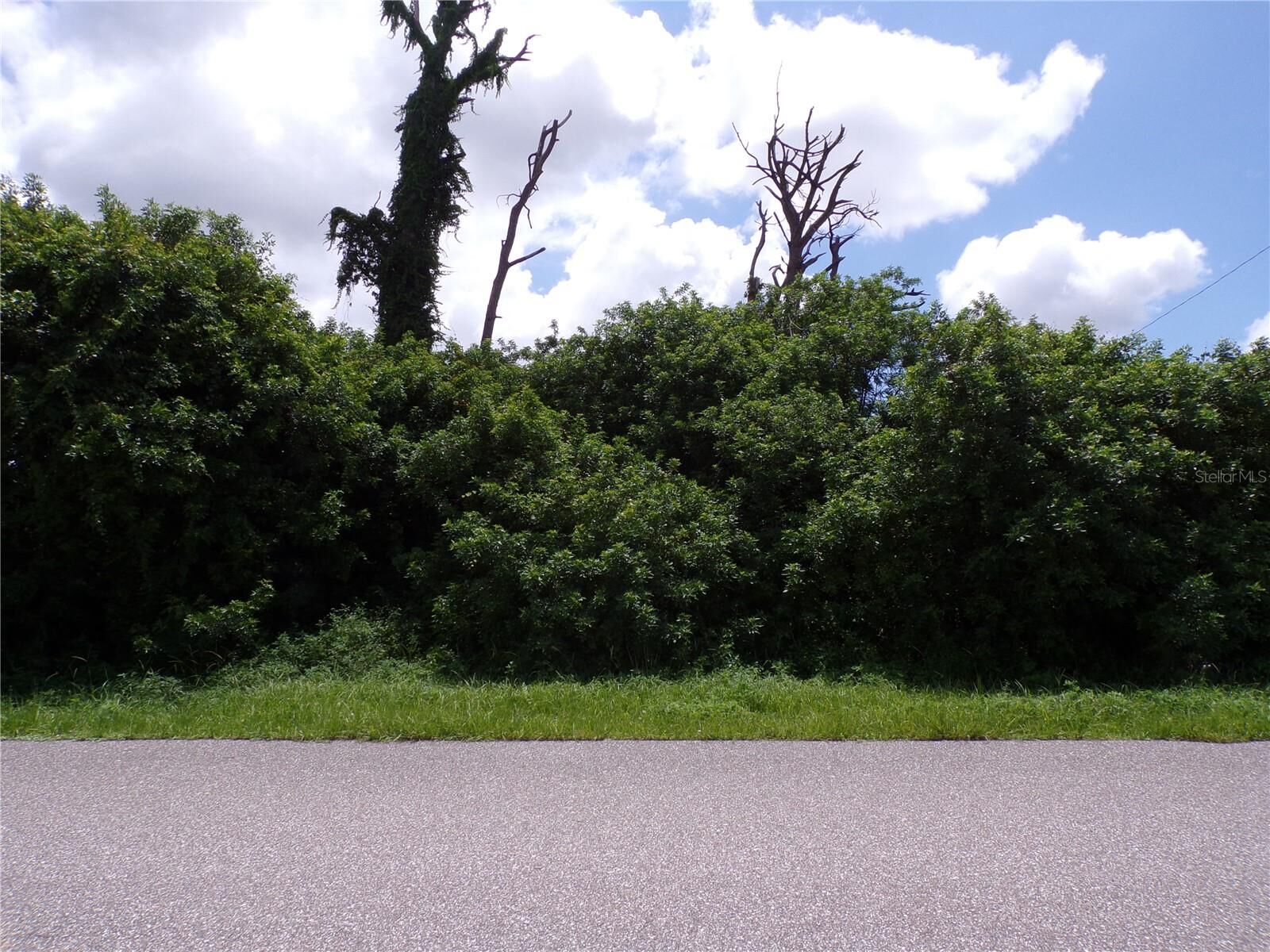 Property Photo: 2466 Fourwind Street FL 33948