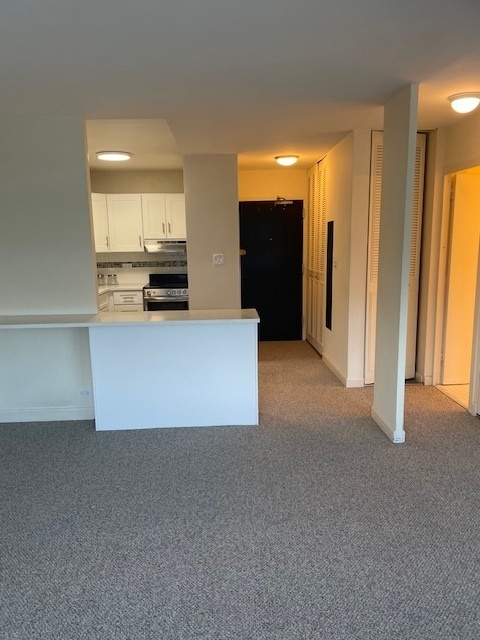 Property Photo: 4250 N Marine Drive 2925 IL 60613