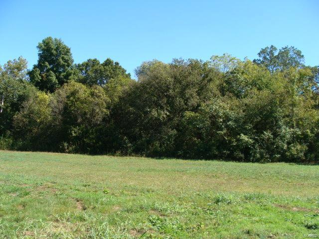Property Photo: 0 Hwy 67 MO 63601