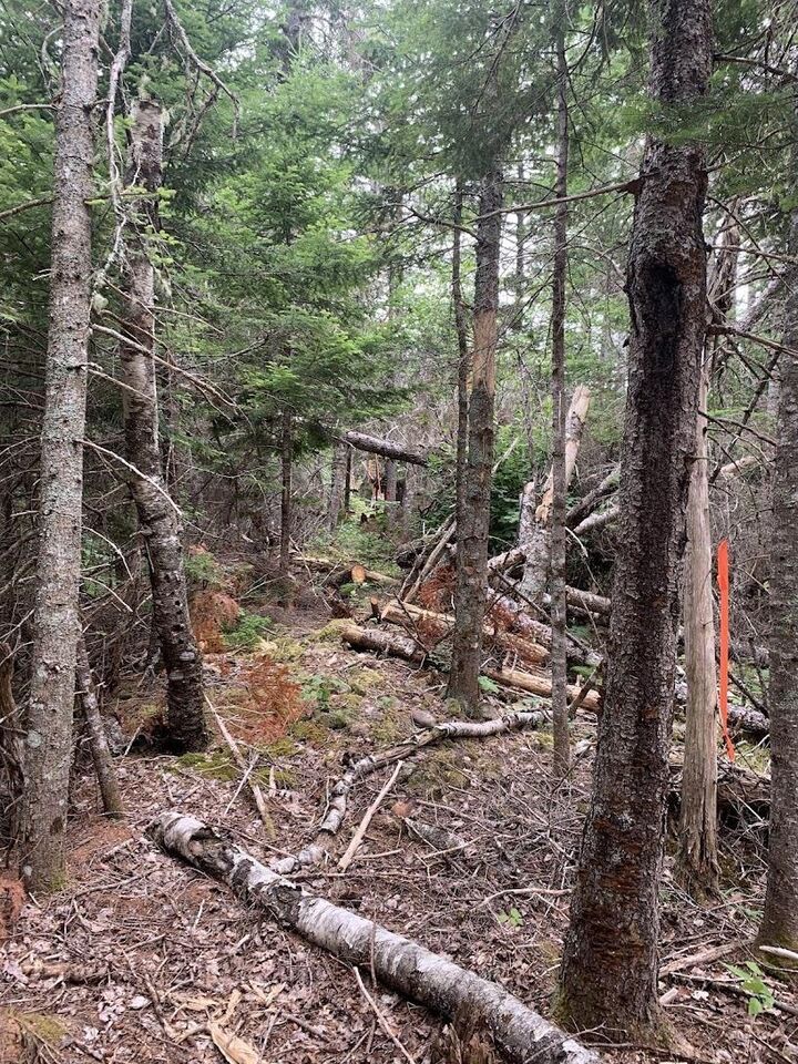 Property Photo:  Vv5 Lot 5 Hunter Road  NS B0M 1Z0 