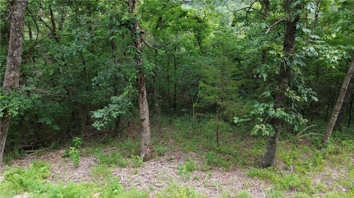 Property Photo:  Lot 10, Block 10 Haddock Lane  AR 72631 