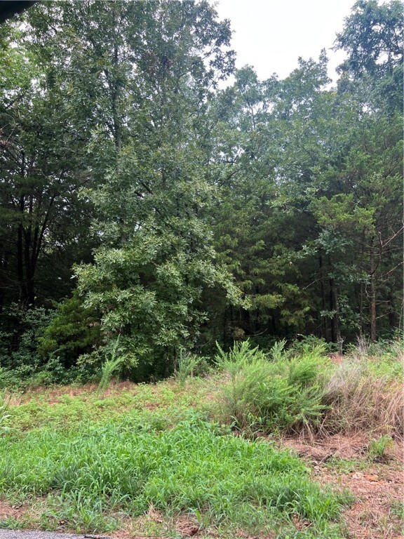 Property Photo: Lot 7 Moreton Lane AR 72714