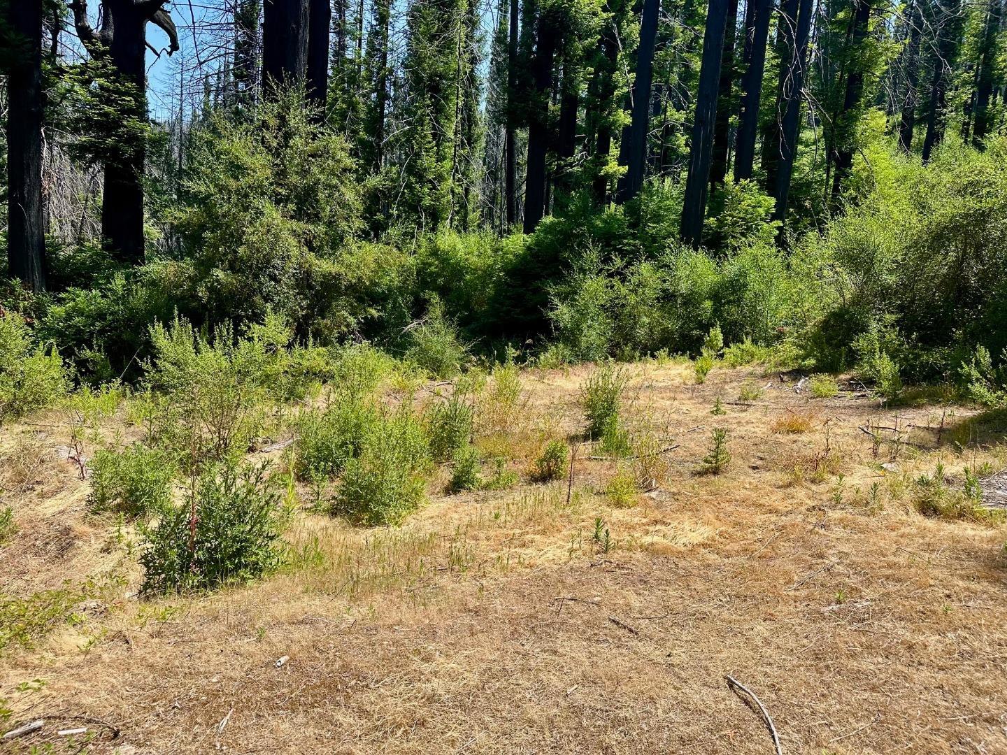 Property Photo:  678 Swanton Road  CA 95017 