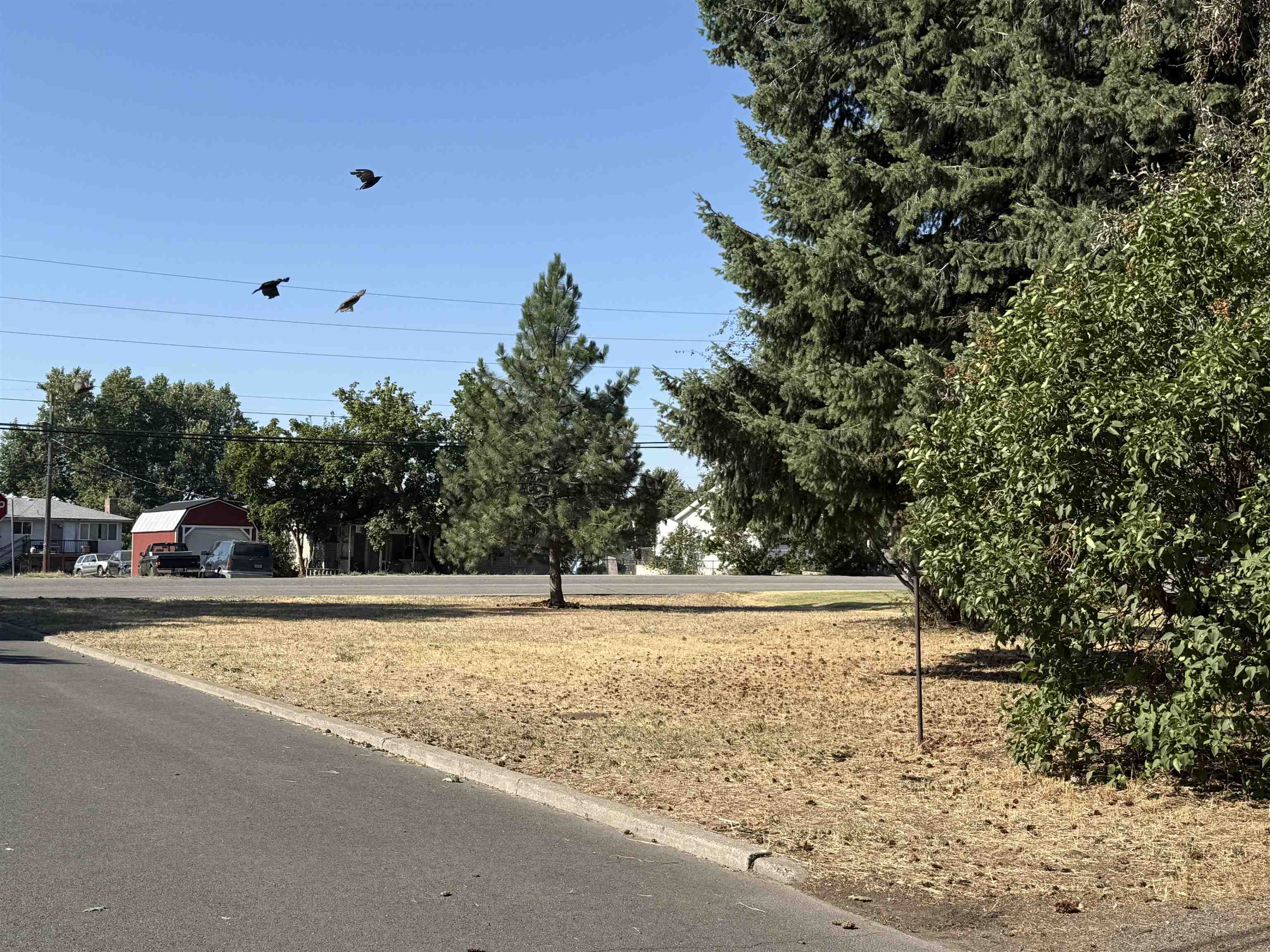 Property Photo:  Nka Salnave St  WA 99004 