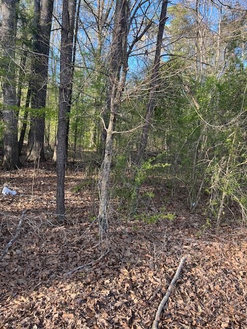 Property Photo:  00 Gibson  MS 39180 