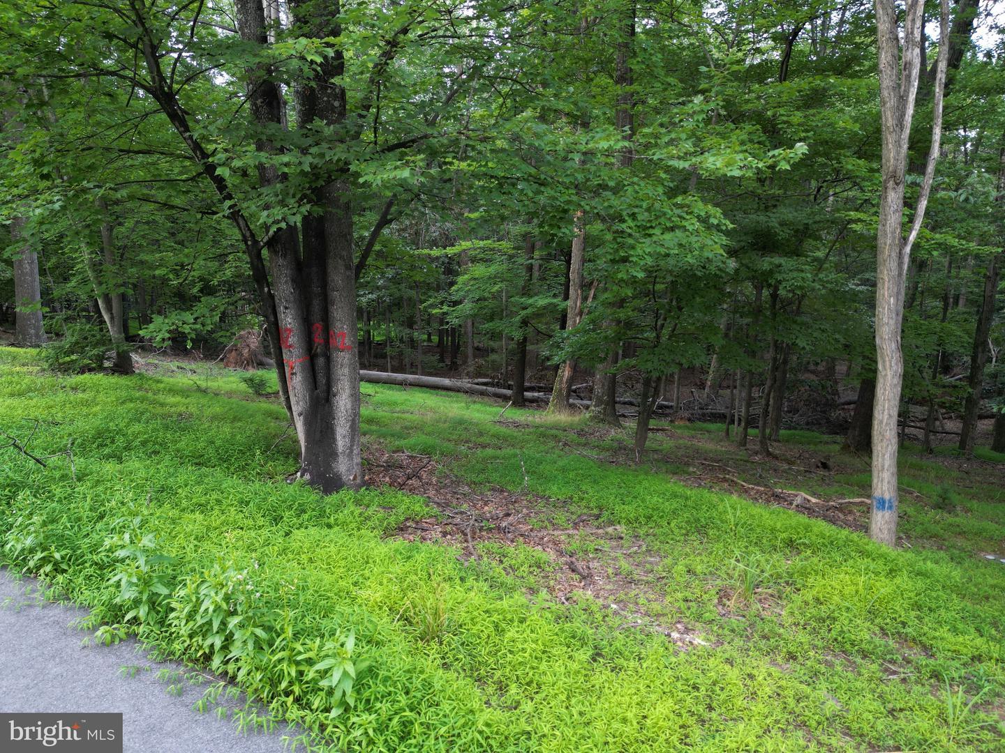 494 Cayuga Trail  Hedgesville WV 25427 photo