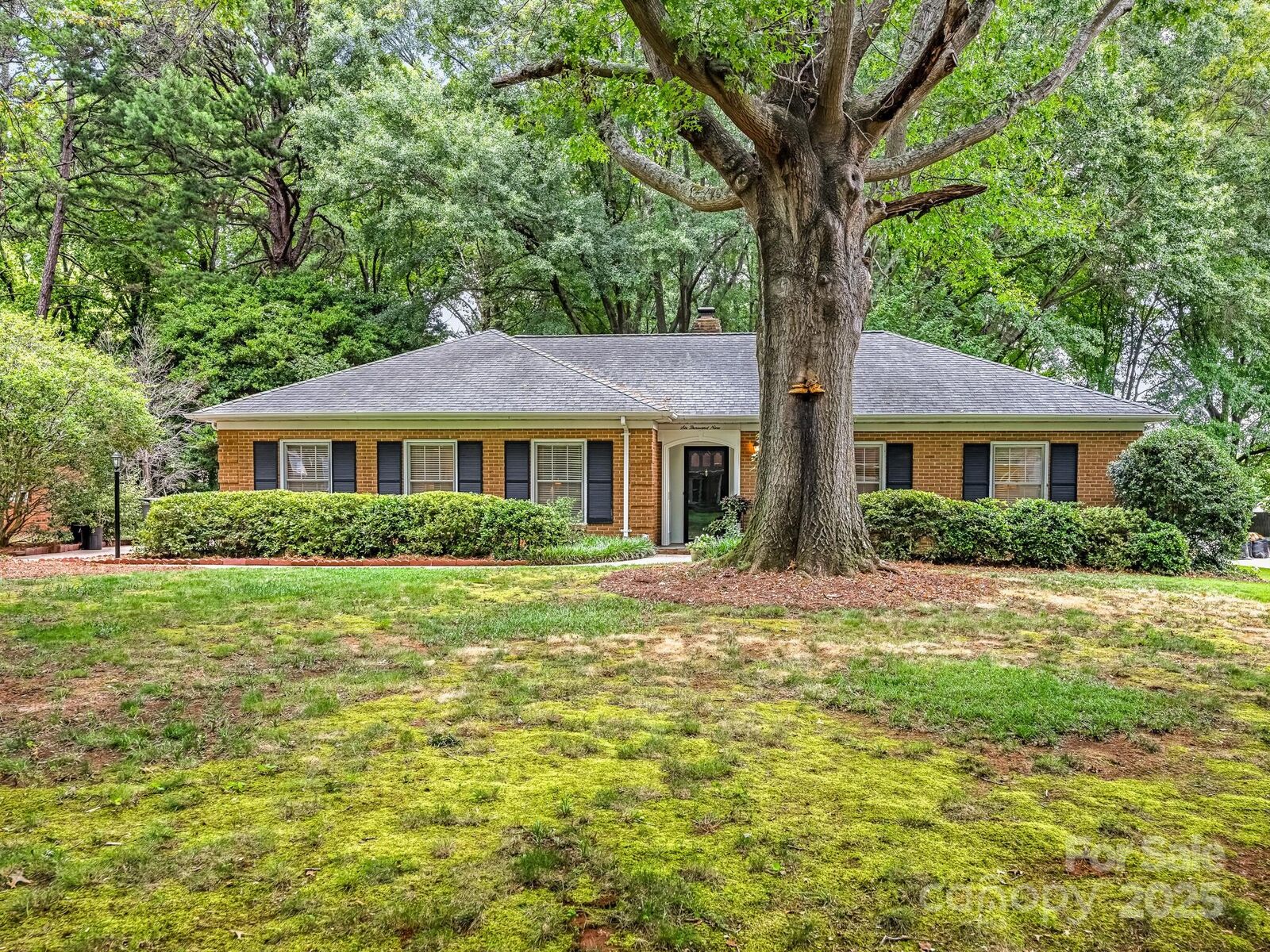 Property Photo:  6009 Brace Road  NC 28211 