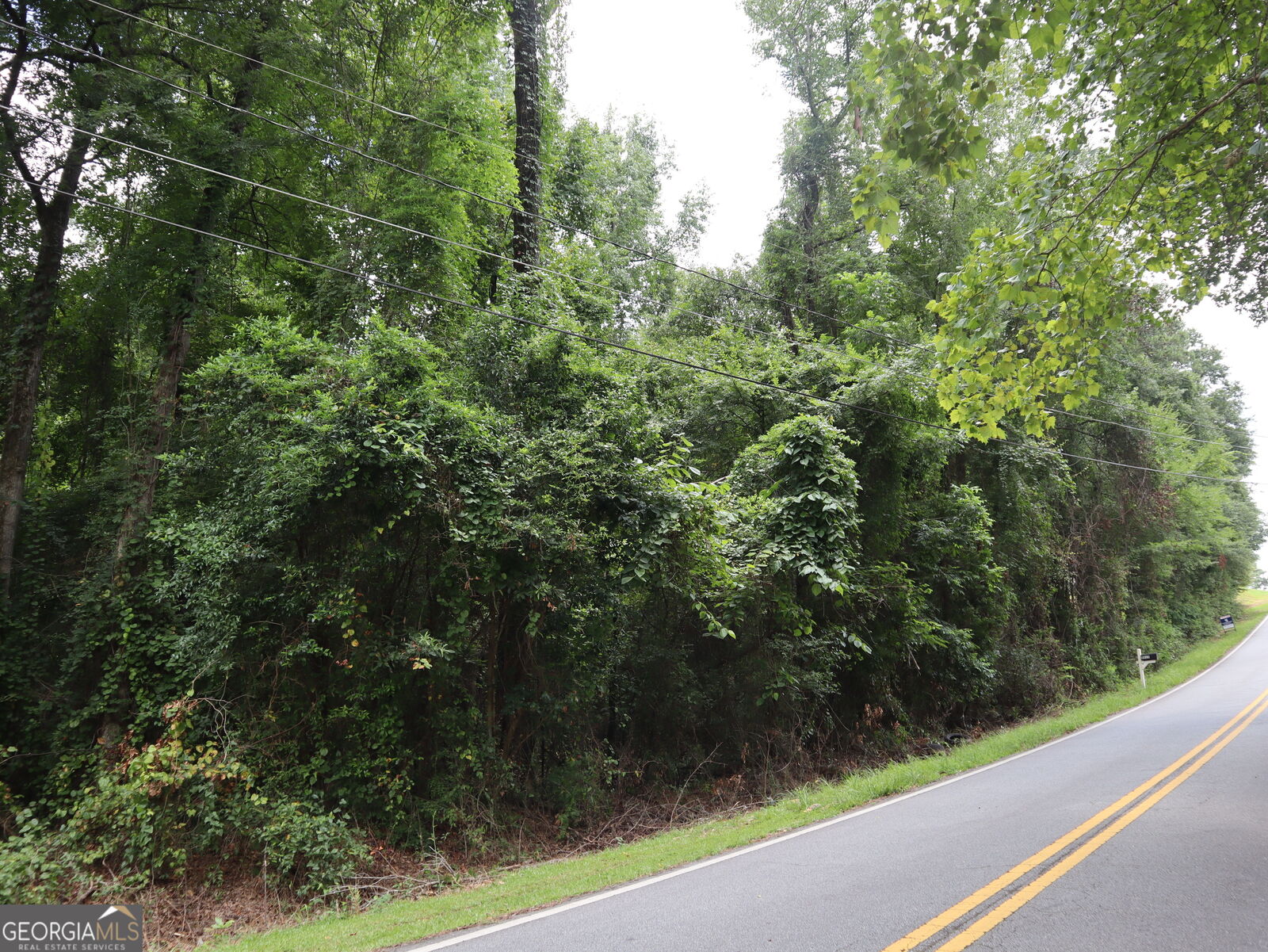 Property Photo: 5524 Bankston Lake Road GA 31216