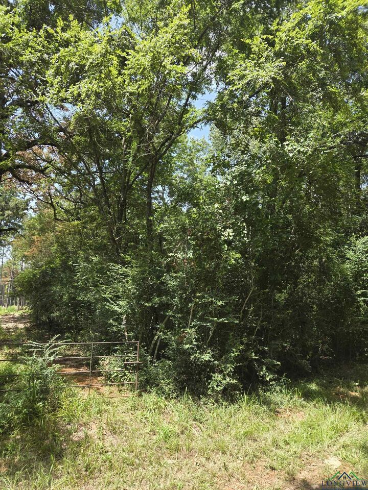 Property Photo: Tbd Cr 154 TX 75601
