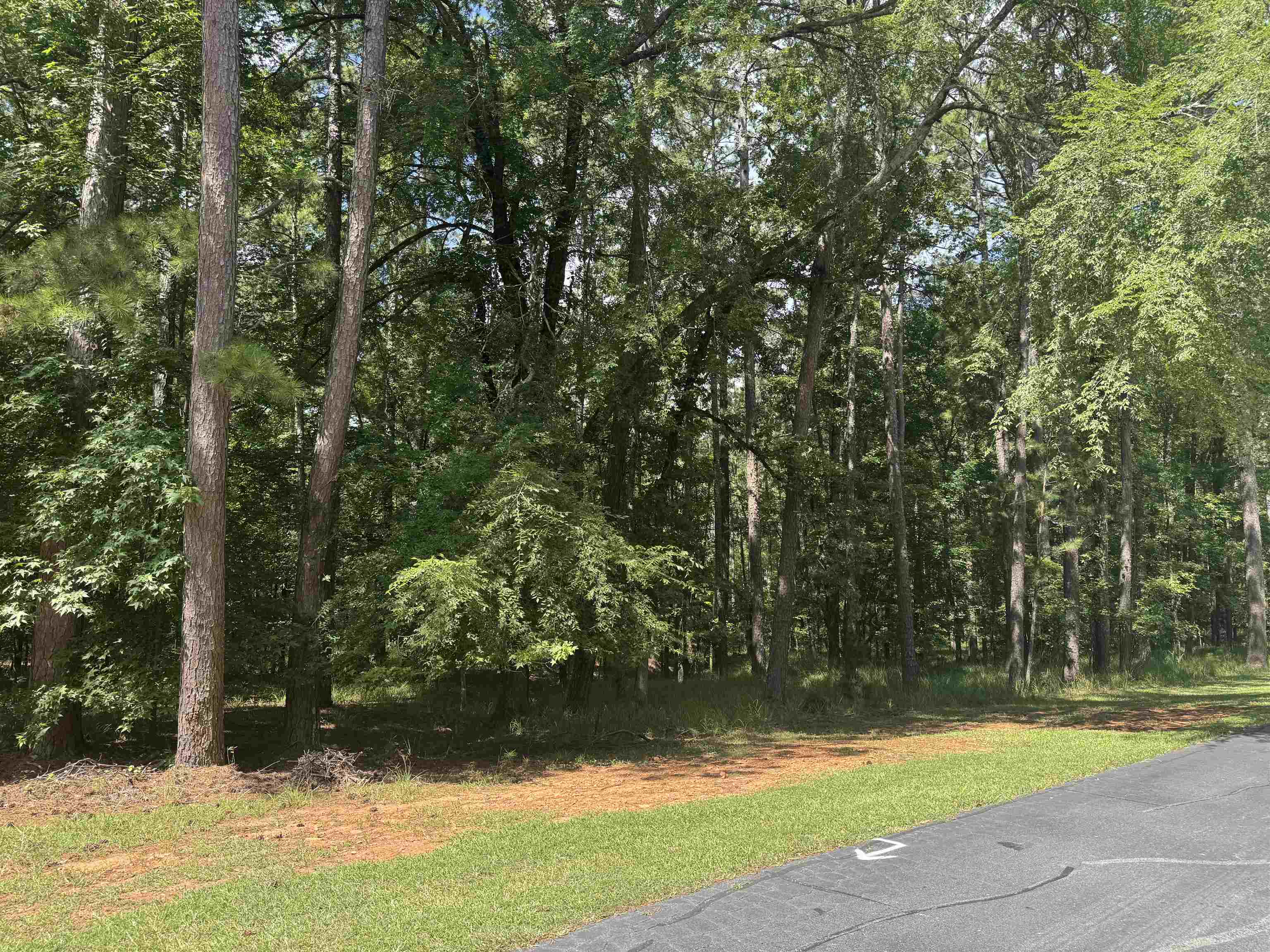 Property Photo:  1101 Bennett Springs Drive  GA 30642 