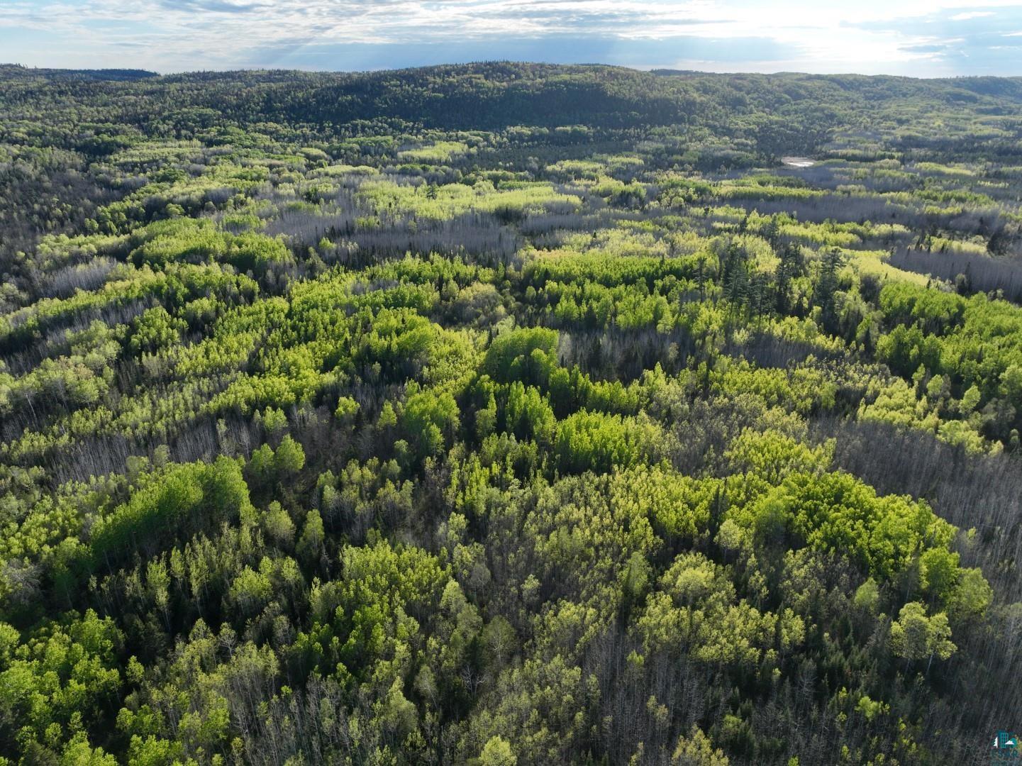 Property Photo:  Xxx Arrowhead Tr  MN 55606 