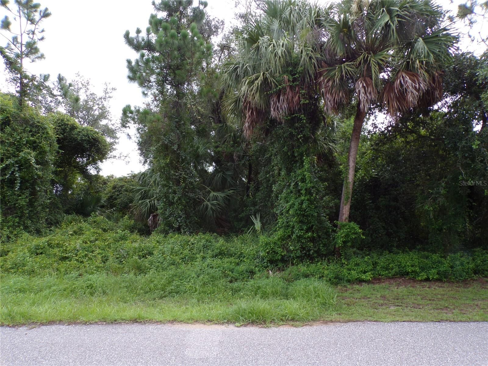 Property Photo:  20404 Wingate Avenue  FL 33954 