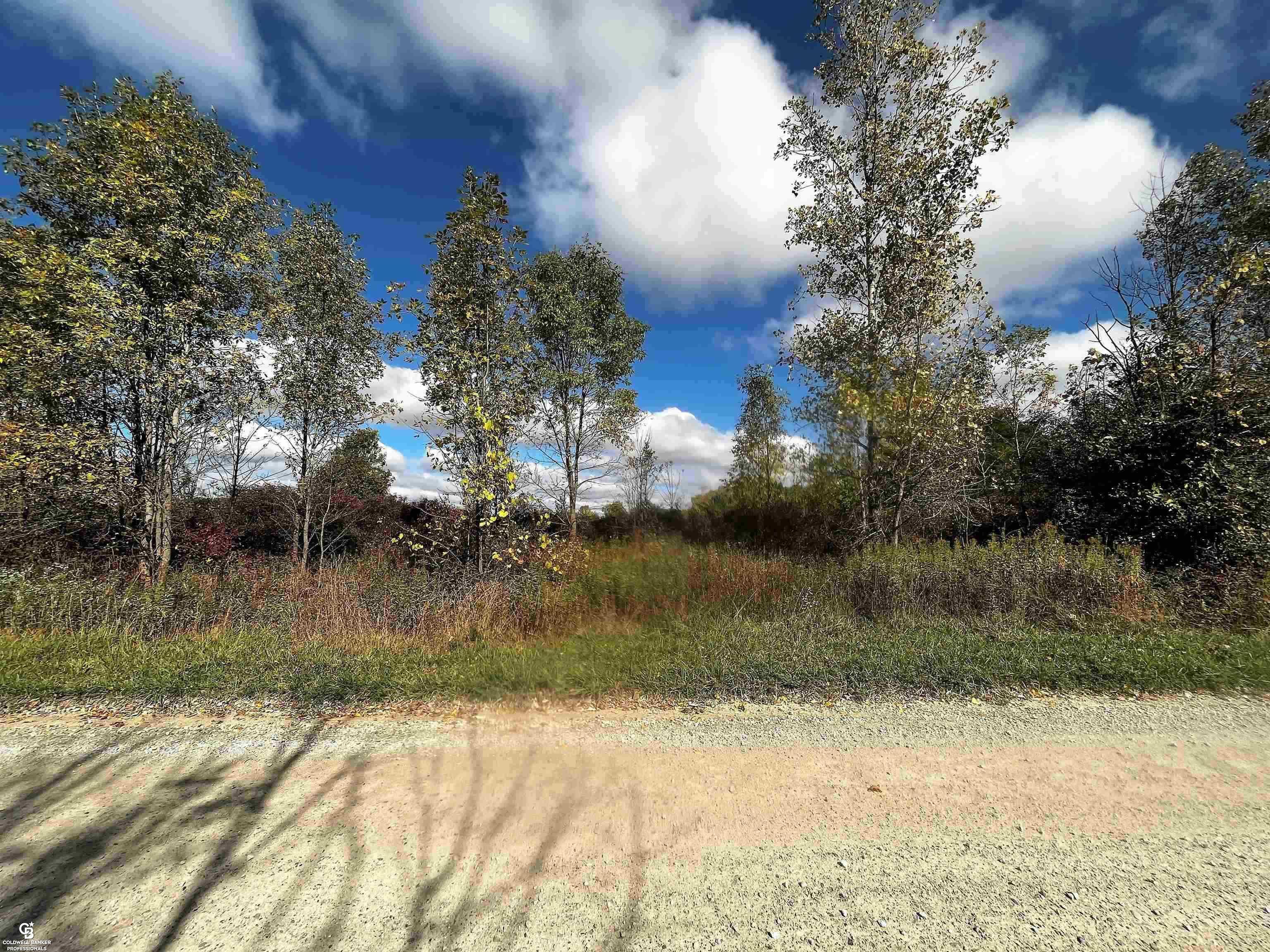 12274 Griffin Road  Riley MI 48041 photo