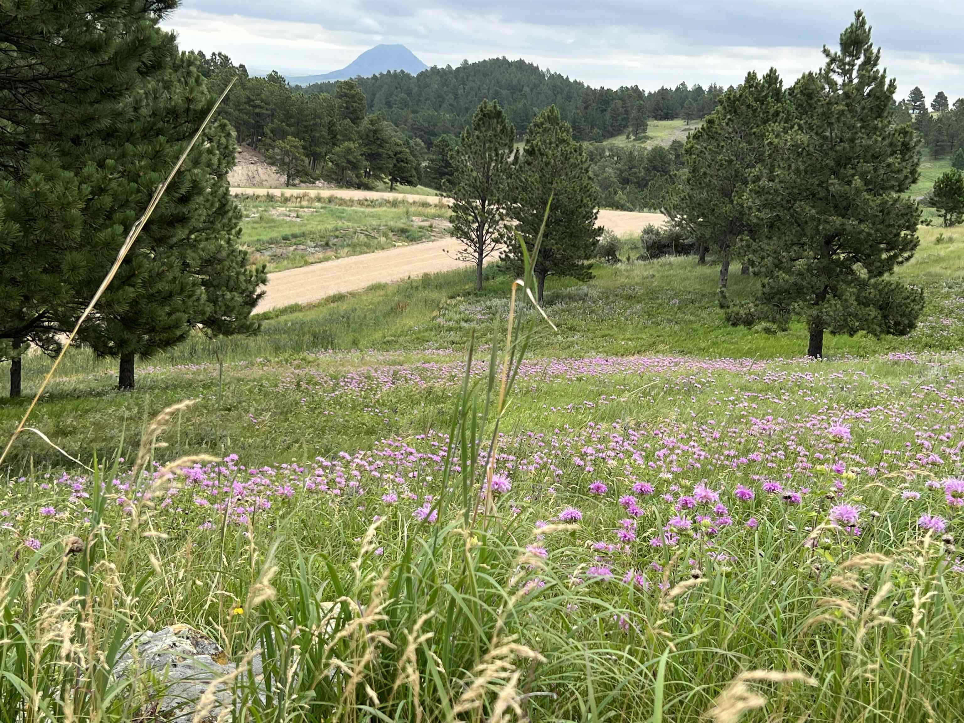 Lot 30 Summit Pass  Whitewood SD 57793 photo
