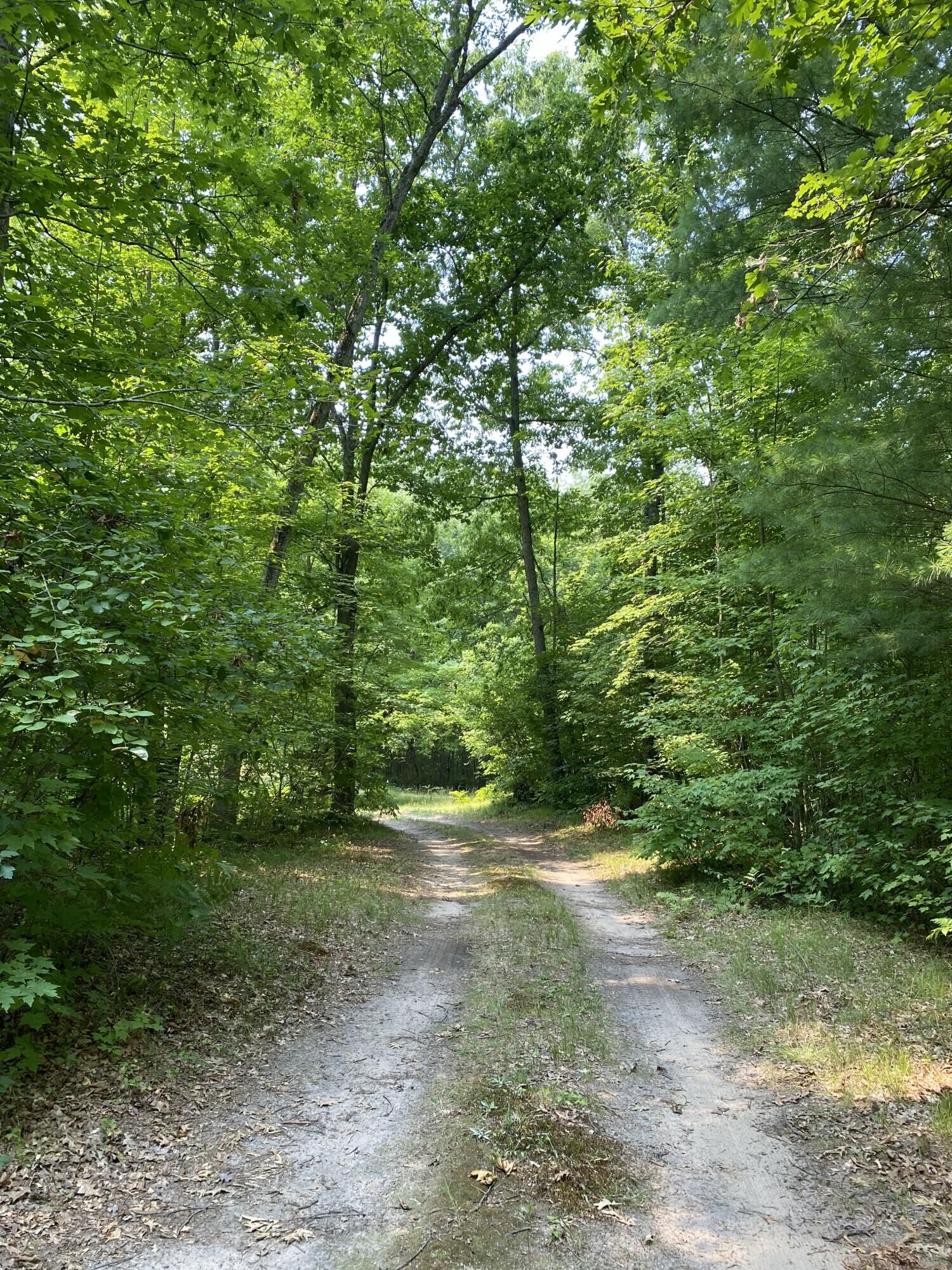 Property Photo: 9190 Ferris Avenue MI 49309