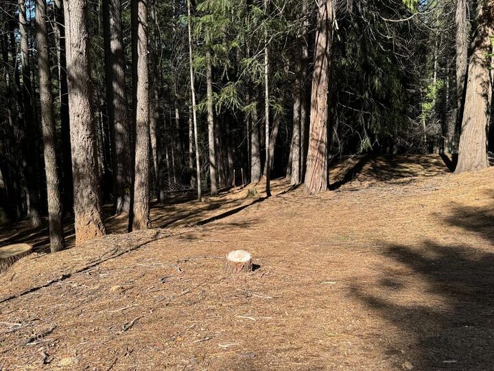 Property Photo:  5771 Lupin Lane  CA 95726 