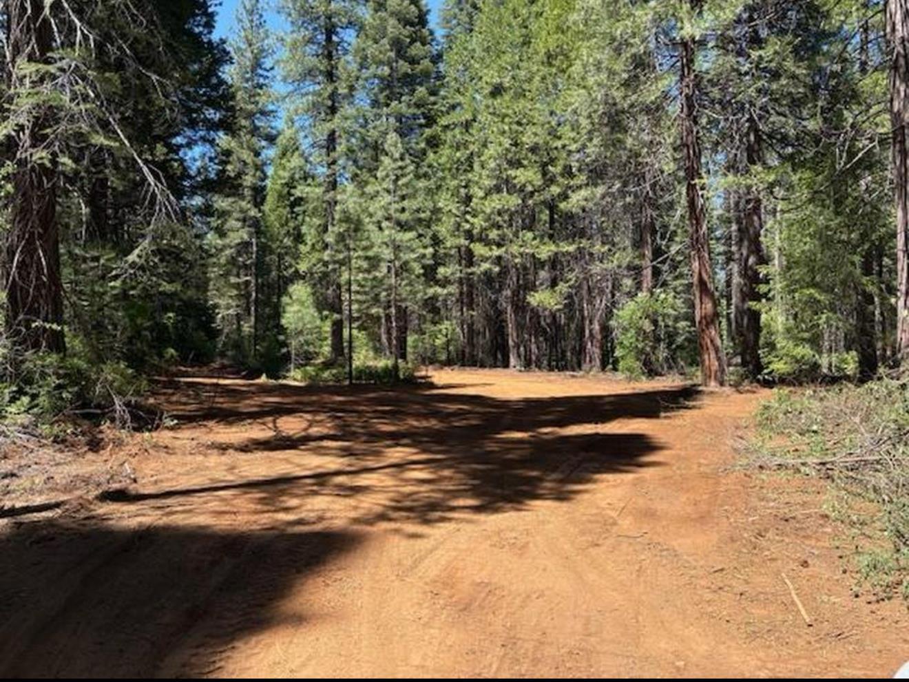 Property Photo: 30205 N Bloomfield-Graniteville Road CA 95959