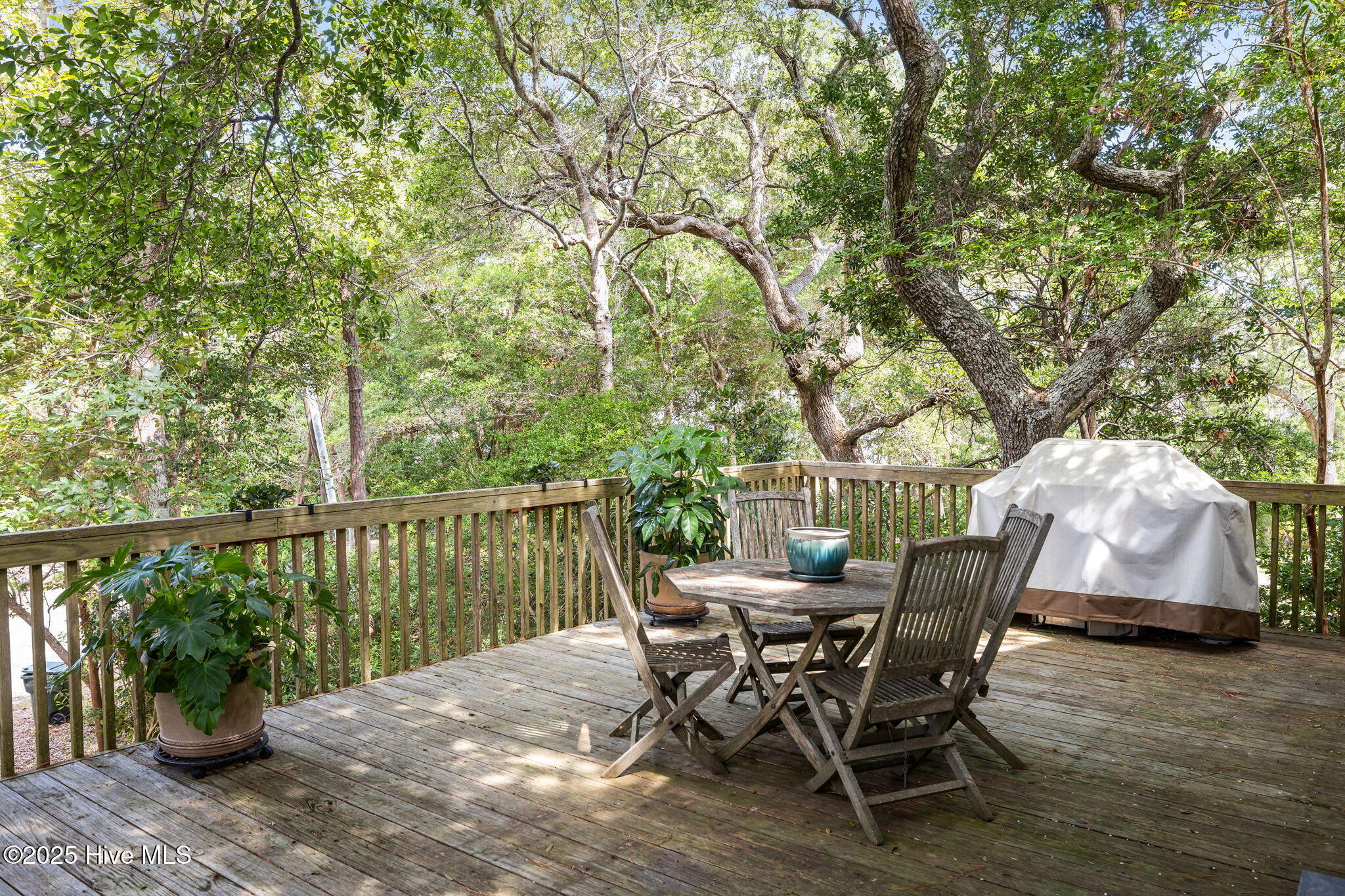 Property Photo: 102 South Court NC 28512