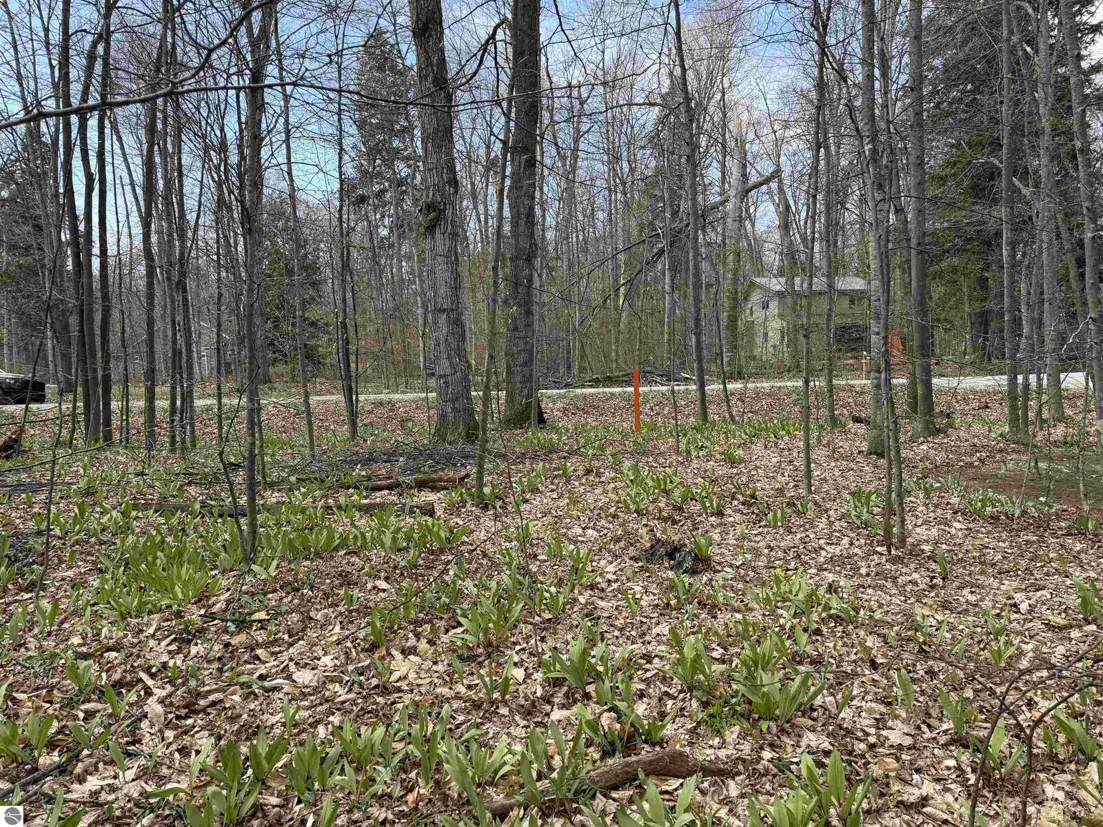 Property Photo:  0000 E Sugar Maple Drive  MI 49621 