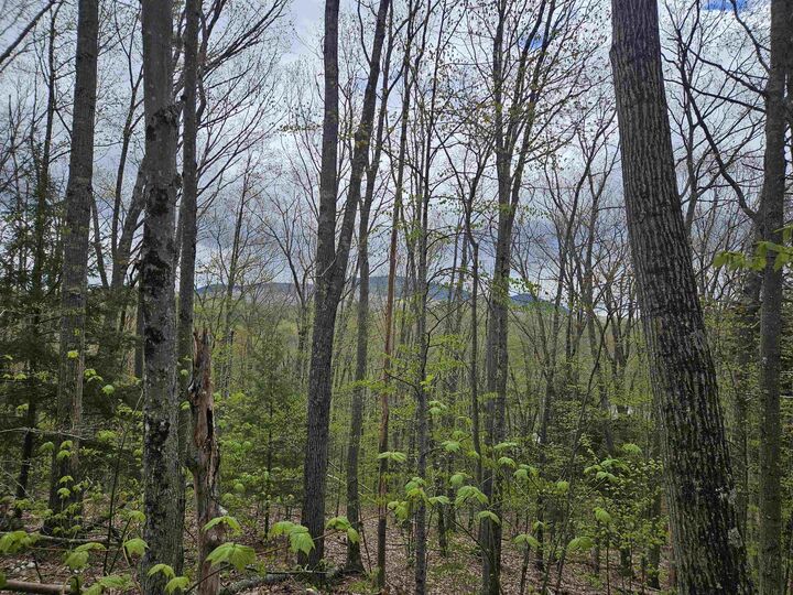 Property Photo: Lot 123 Paulsen Circle NH 03765