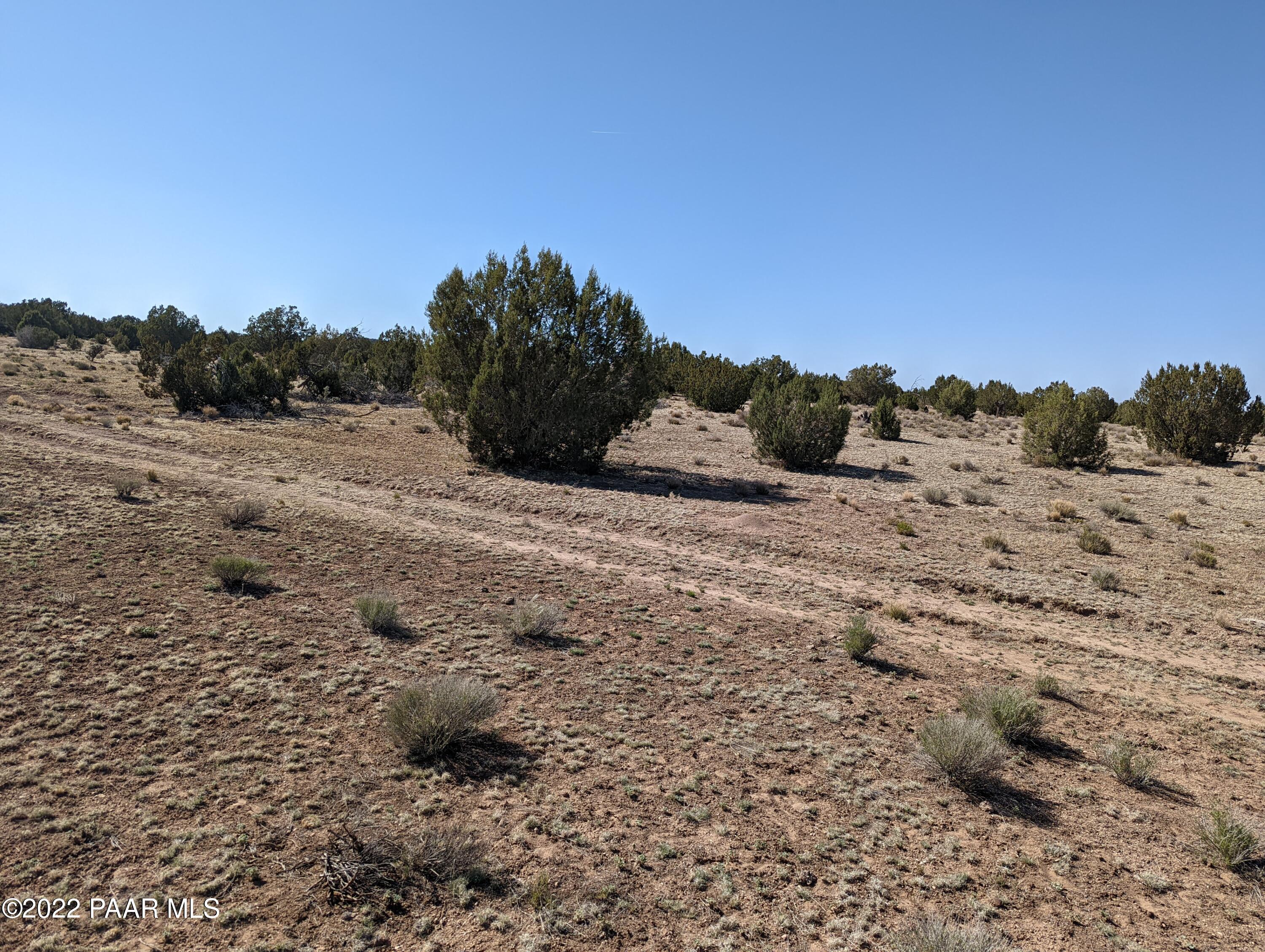 Property Photo: Xxx Off Jolly Rd AZ 86337