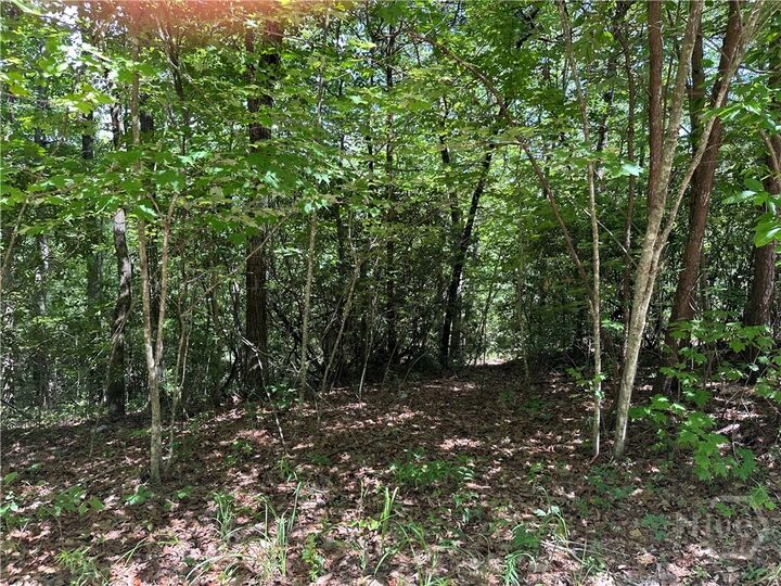 Property Photo:  664 Gold Valley Road  GA 30571