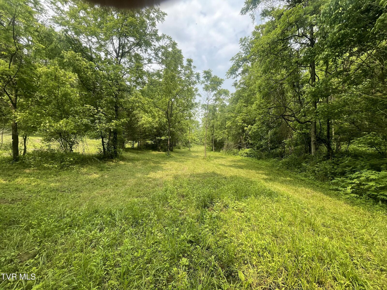Property Photo:  1028 East Pumpkin Valley Road  TN 37731 