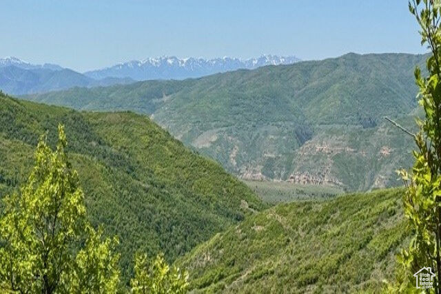 10976 Skyline Rd 202  Echo UT 84024 photo