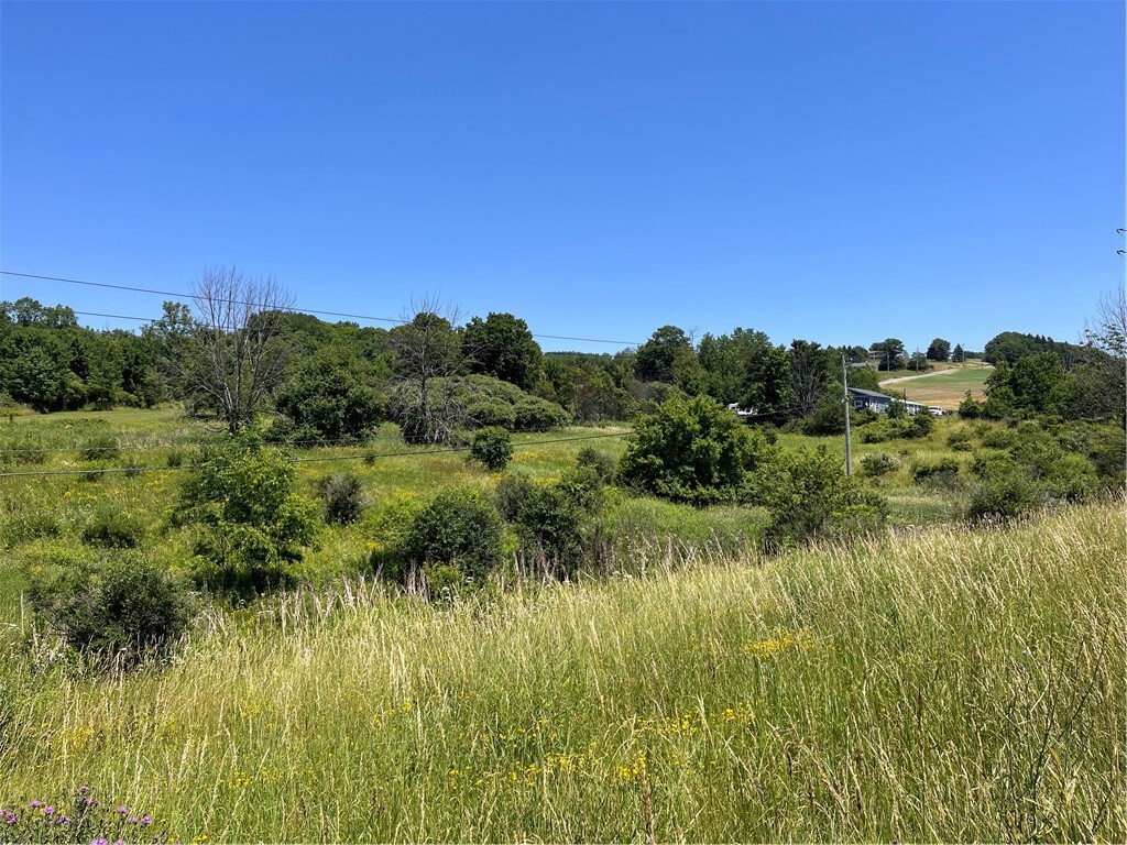 Property Photo: 0 Yocum Road NY 14572
