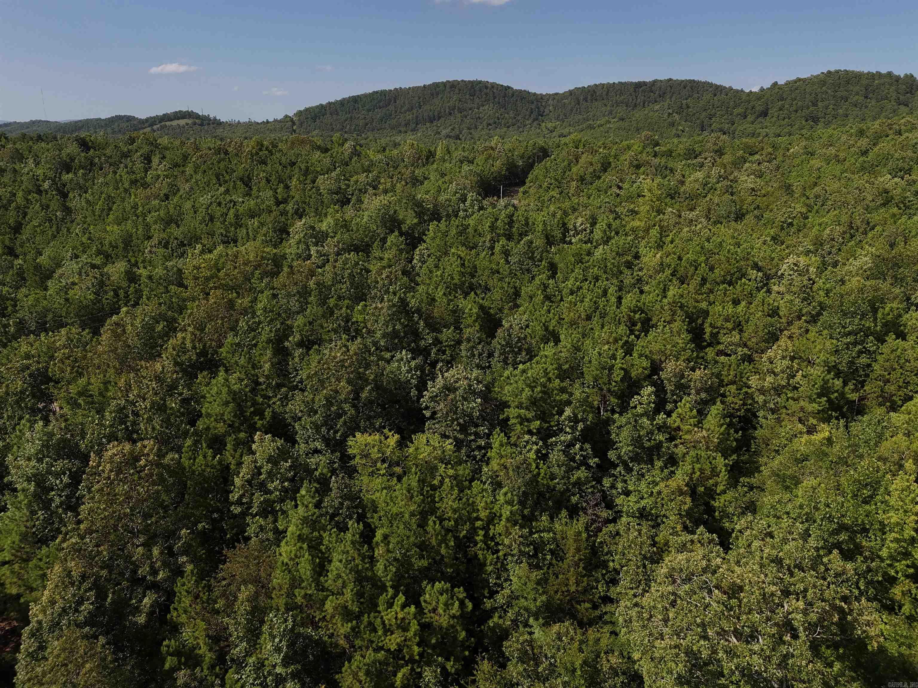 Property Photo:  Lot 4 Polk Road 78  AR 71953 