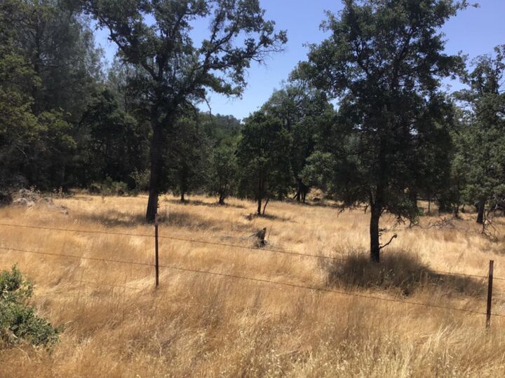 Property Photo:  3071 Chestnut Way  CA 95222 