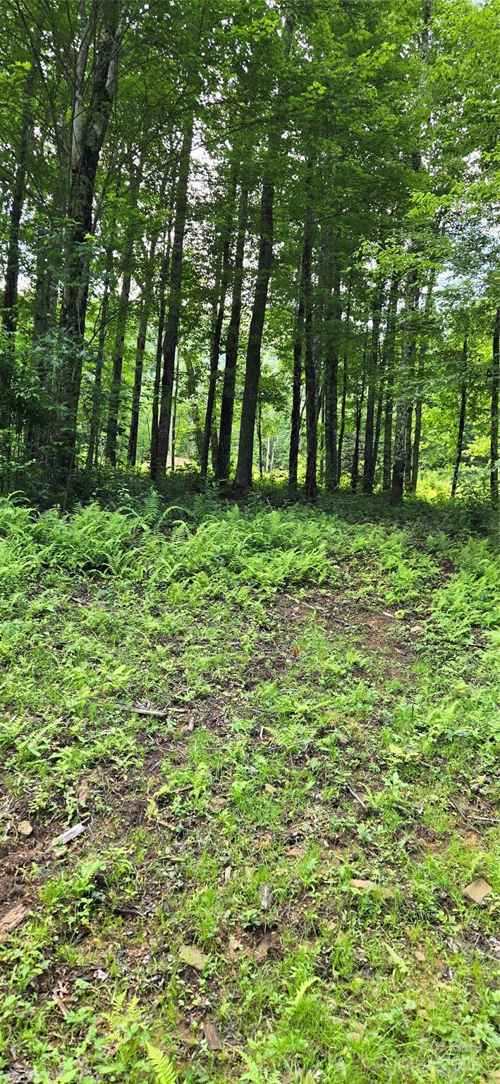 Property Photo:  108 Tenderfoot Trail 108 &Amp 109  NC 28751 