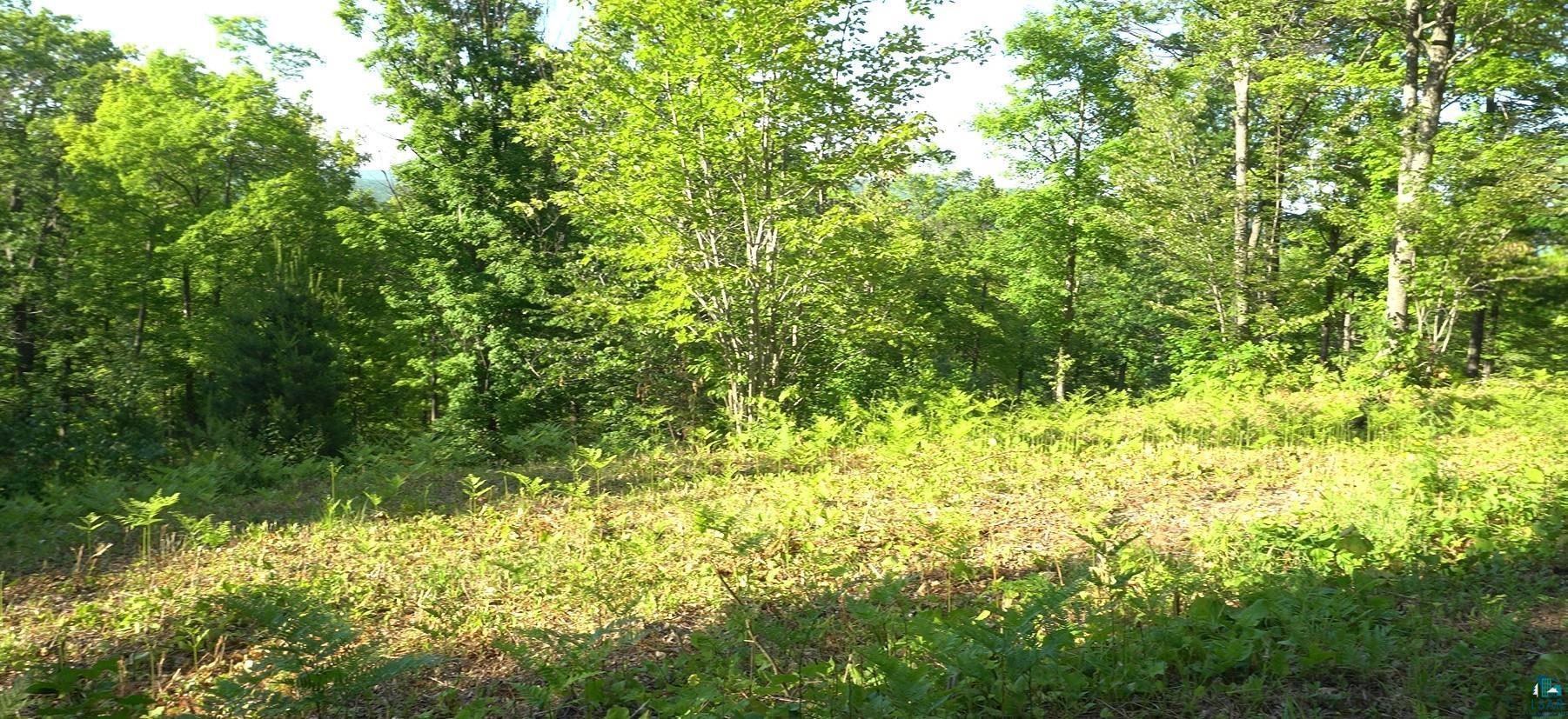 Property Photo: 83xxx Ashwabay Heights Rd Lot 13 WI 54814