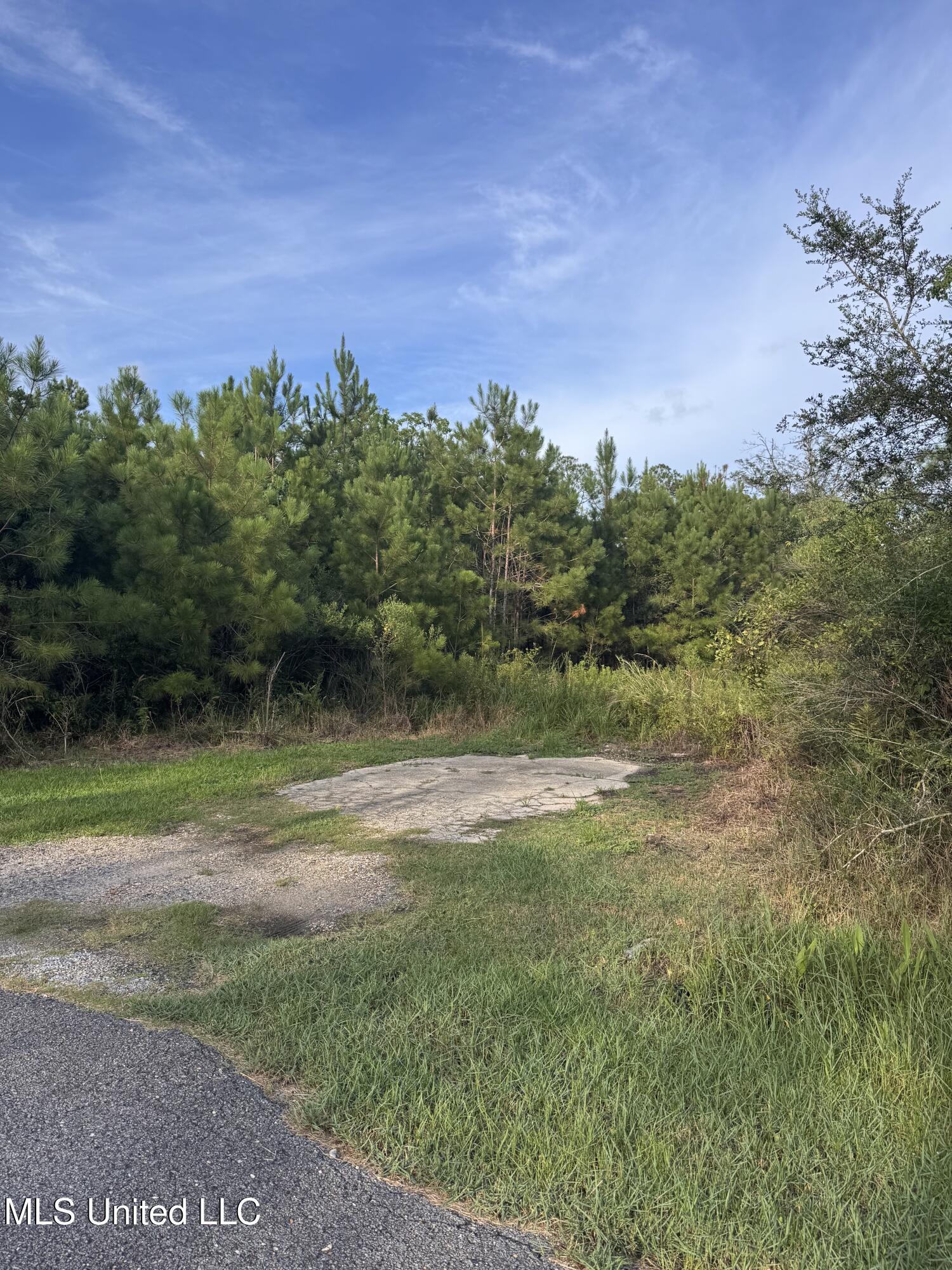 Property Photo: 10128 Peachtree Drive MS 39576