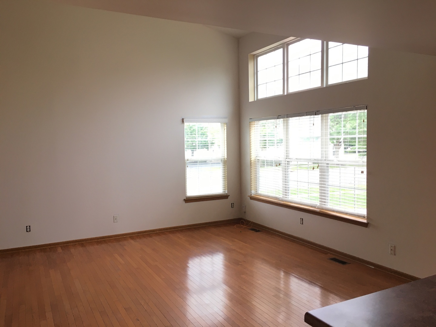 Property Photo:  3256 Napa Court  IL 60115 