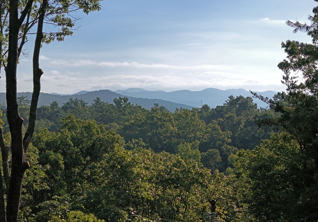 Property Photo: 975 Bunker Hill Road GA 30512