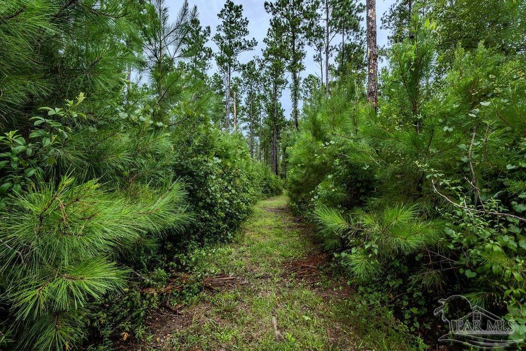 Property Photo: 54 Sage Forest Ln FL 32571