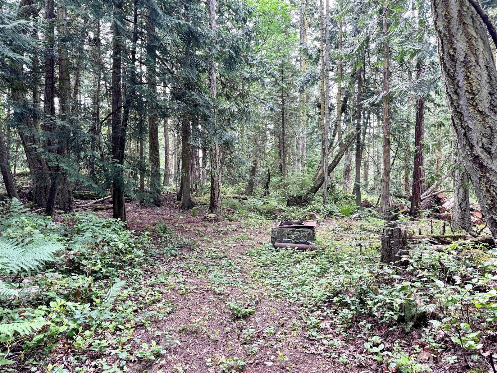 Property Photo: 0 Wishkah Lane WA 98221
