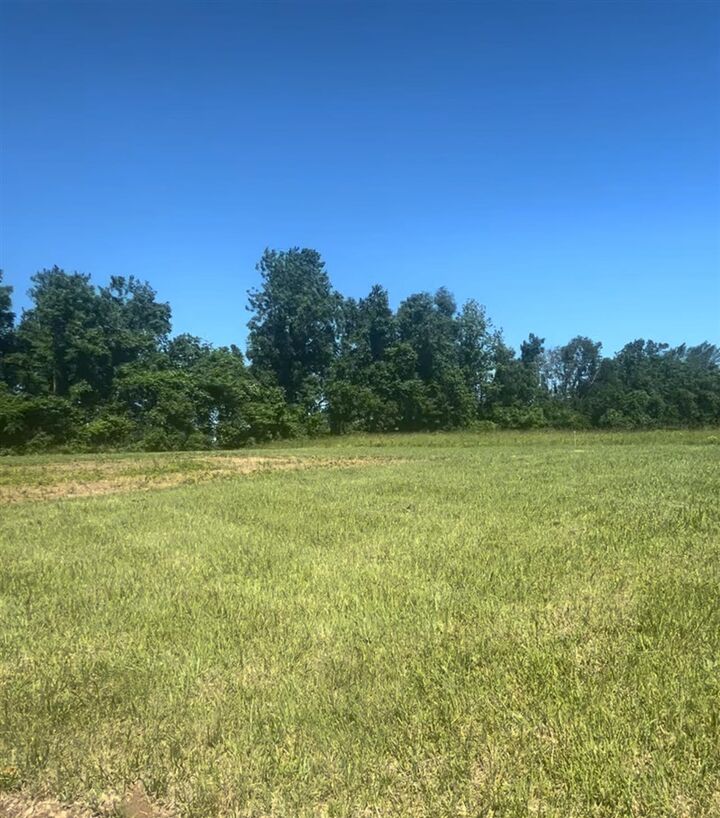 Property Photo:  383 Dry Creek Road  KY 42164 