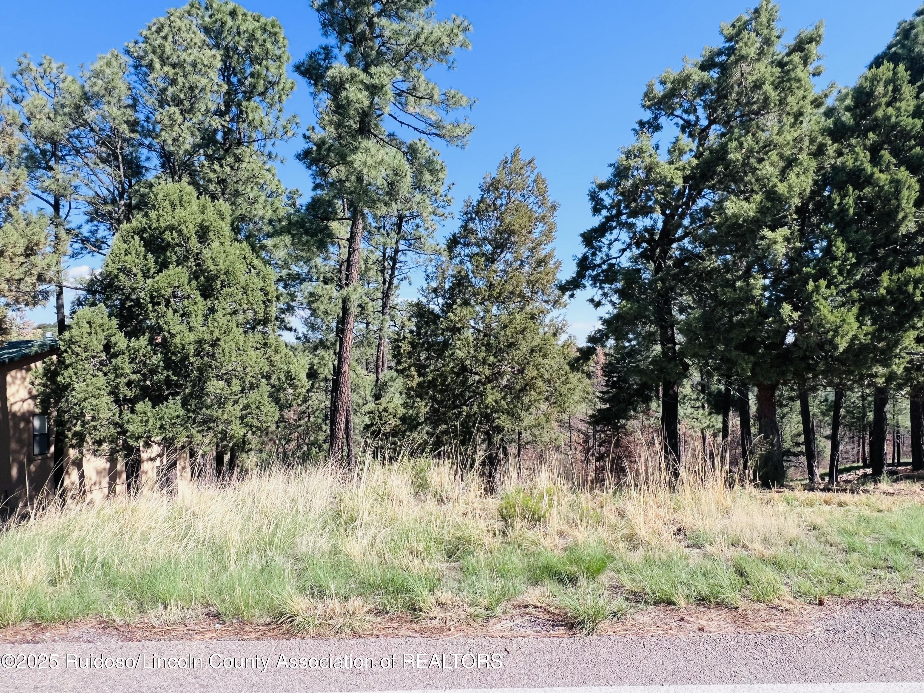 Property Photo:  Lot 7 High Mesa Road  NM 88312 