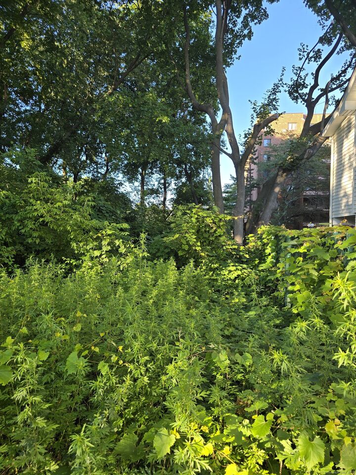 Photo de la propriété: 63A Main Street CT 06810