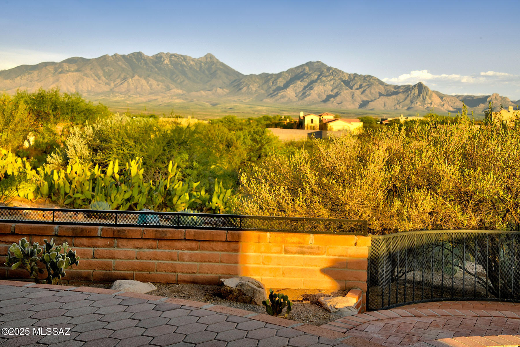 Property Photo:  909 W Mission Twin Buttes Road  AZ 85622 