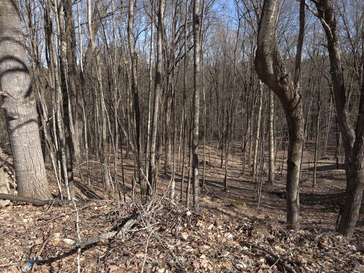 0 South Muskoka Drive — photo 1