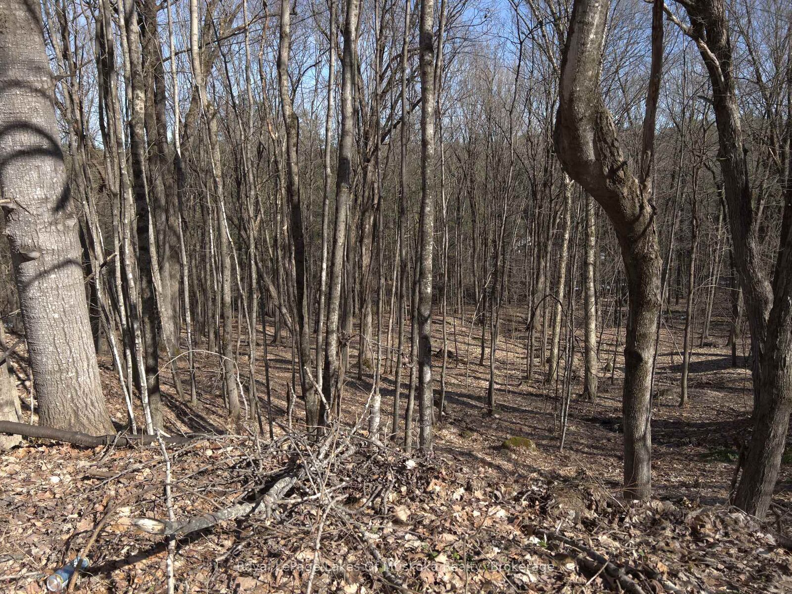 Property Photo:  0 South Muskoka Drive  ON P1L 1M4 