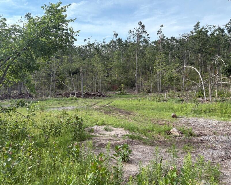 Property Photo:  Mount Jack Road  MI 49730 