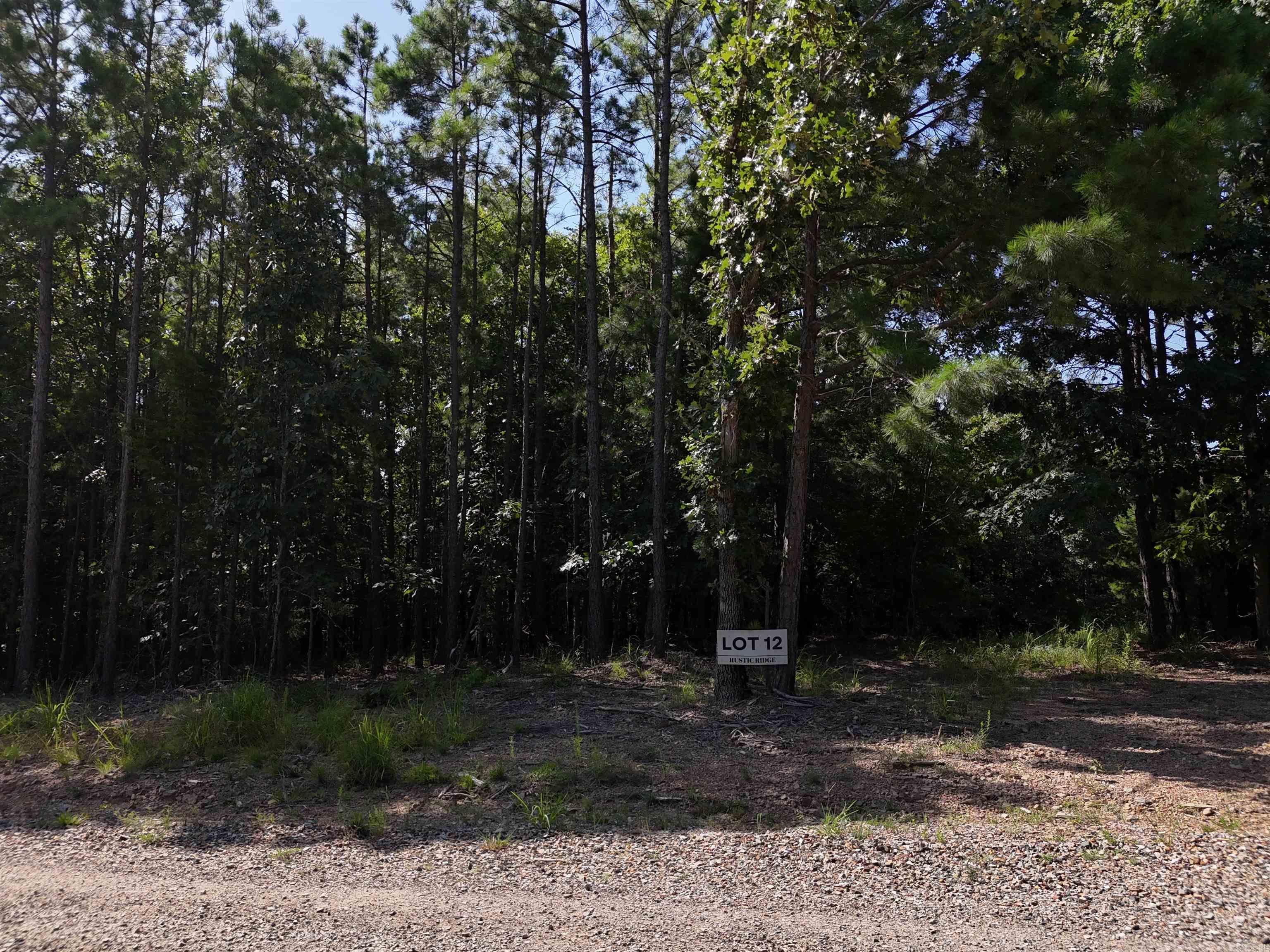 Property Photo:  Lot 12 Polk Road 78  AR 71953 