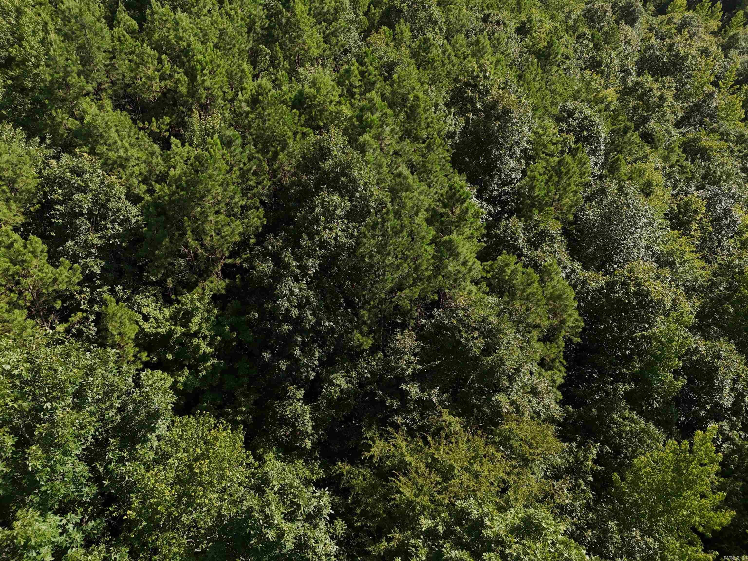 Property Photo:  Lot 17 Polk Road 78  AR 71953 