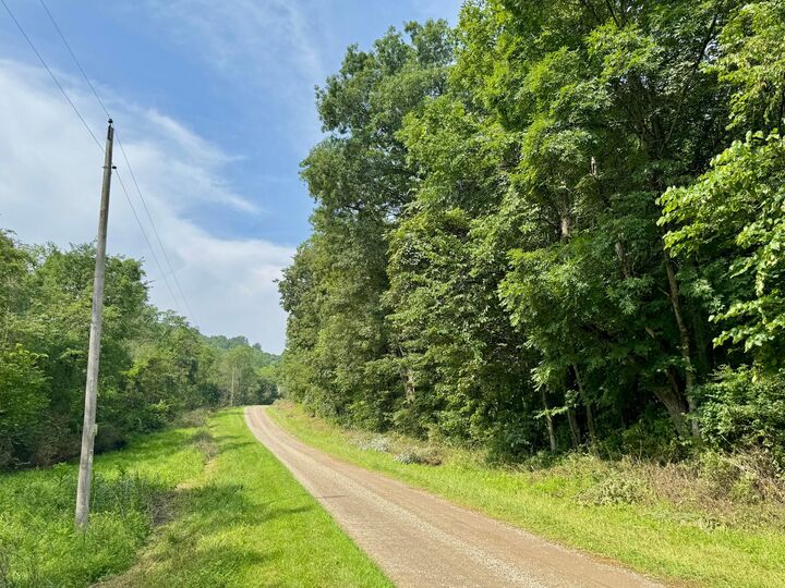 0 Township Rd 437  Dresden OH 43821 photo