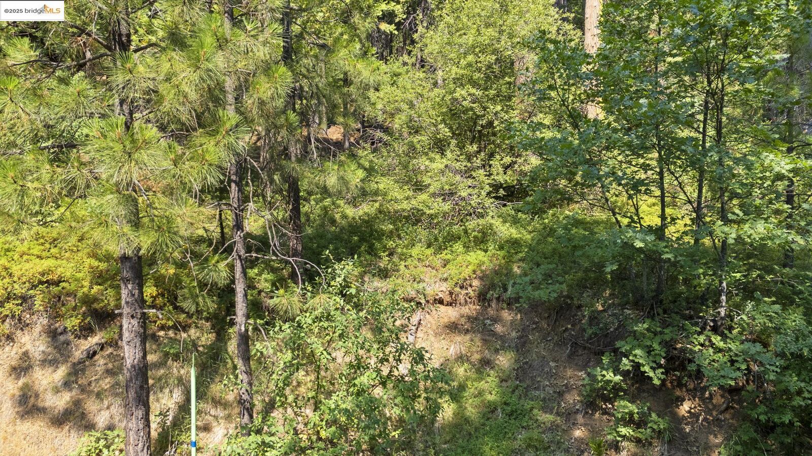 Property Photo:  25352 Rebekah Road  CA 95346