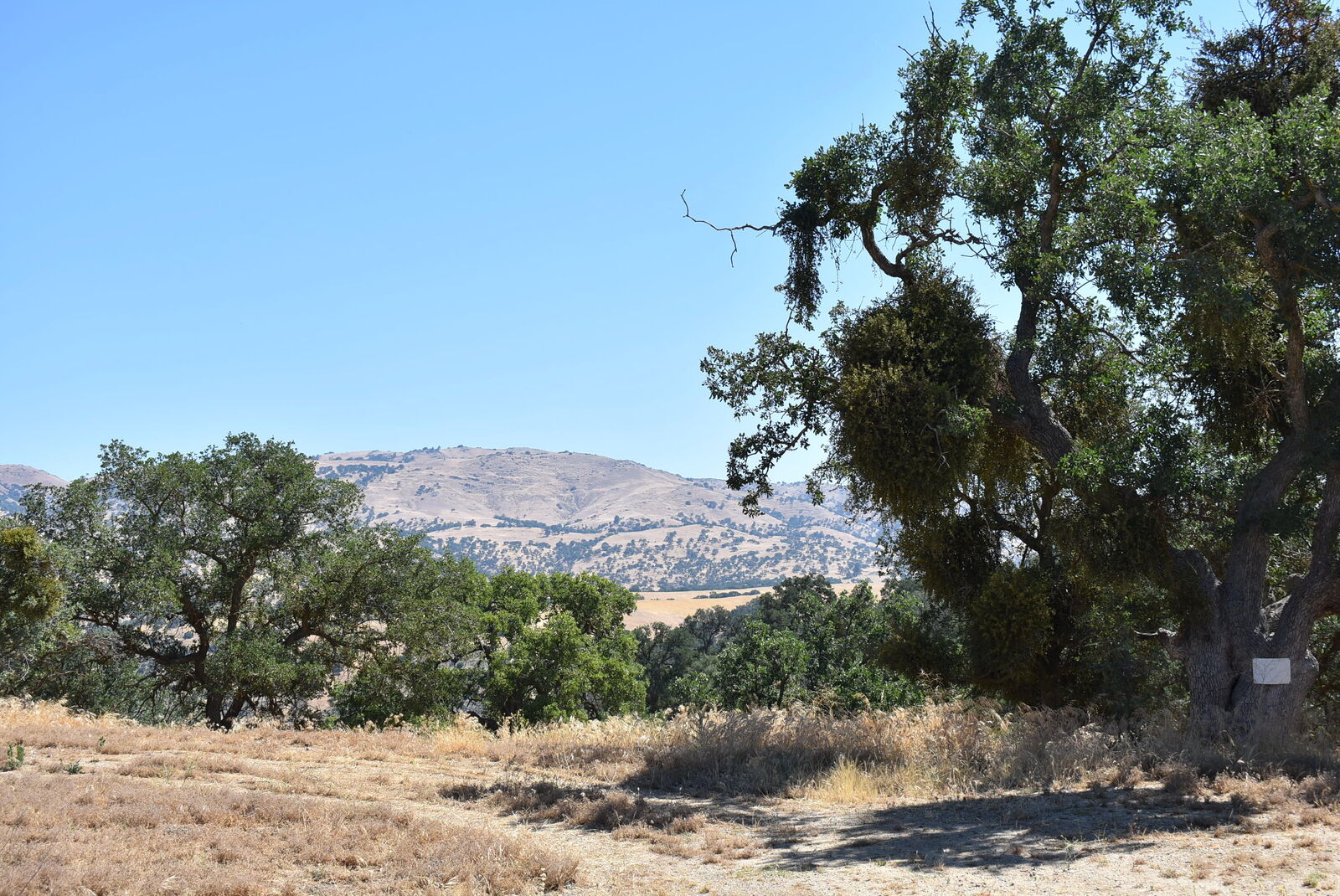Property Photo: 22948 Rim Way CA 93561